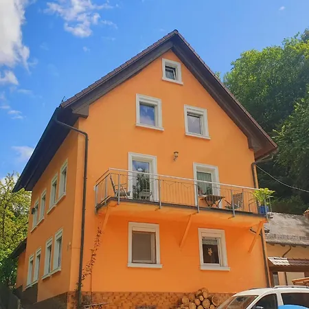 Haus Am Thiesenring 公寓